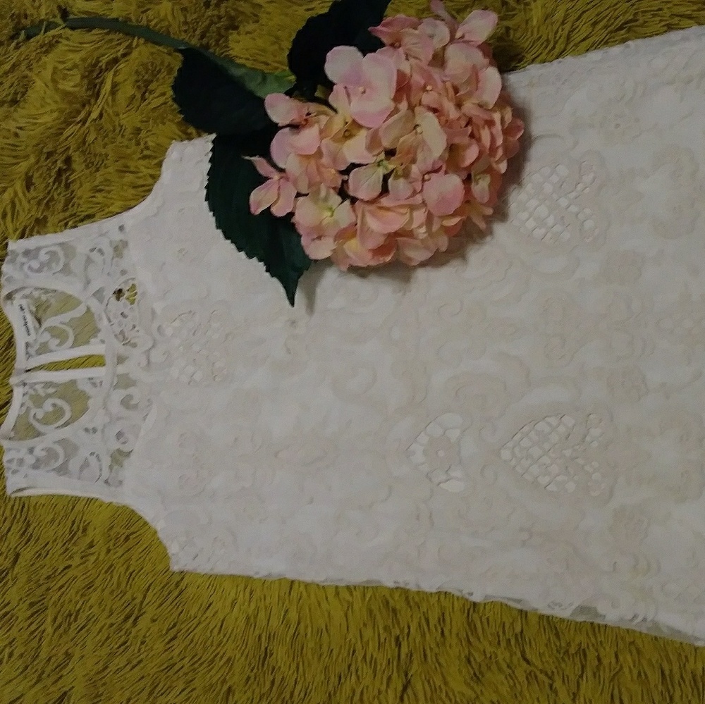 Lace dress . size 10